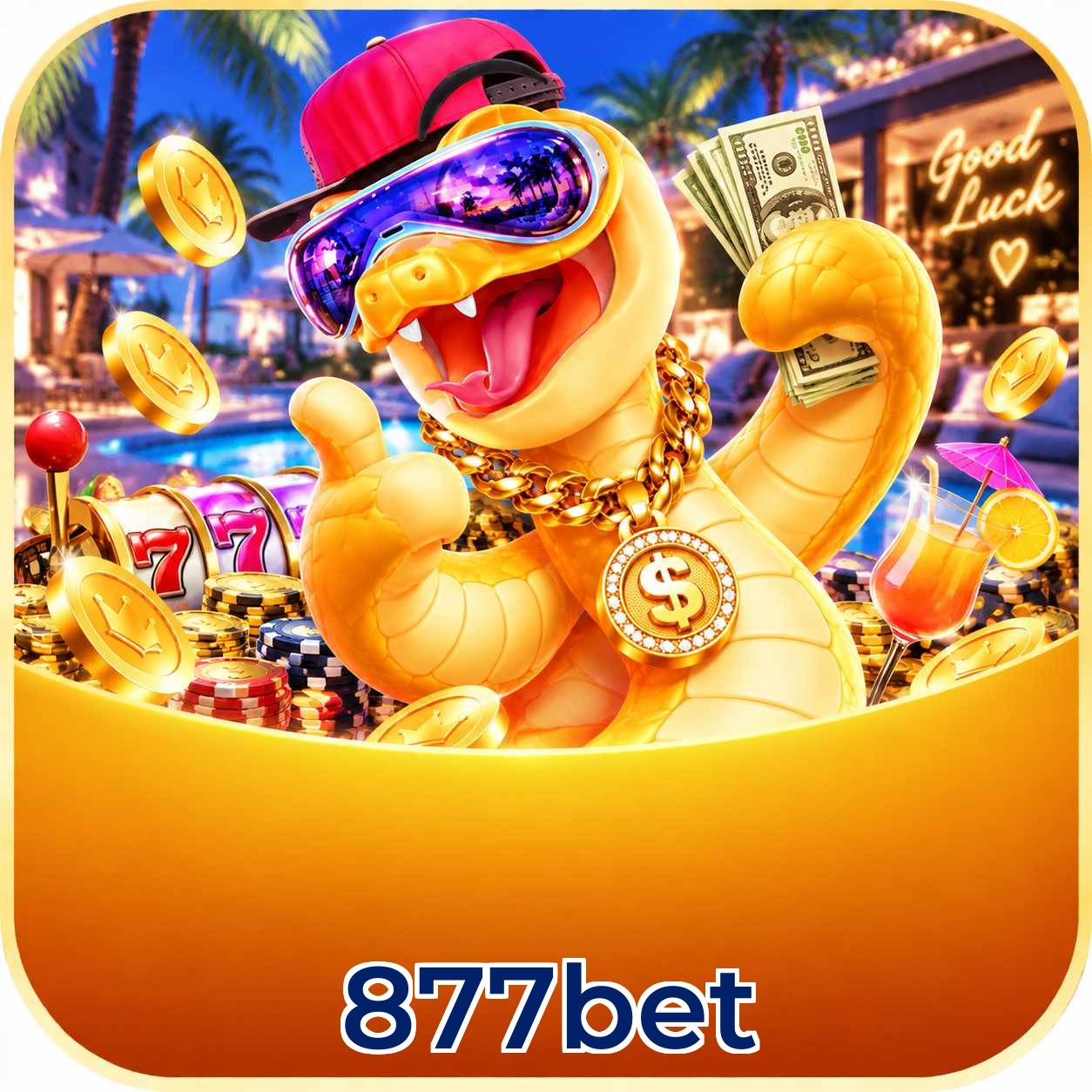 877bet Requirements